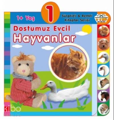 1+ Yaş – Dostumuz Evcil Hayvanlar - 1