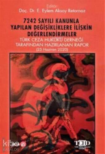 7242 Sayılı Kanunla Yapılan Değişikliklere İlişkin Değerlendirmeler - 1