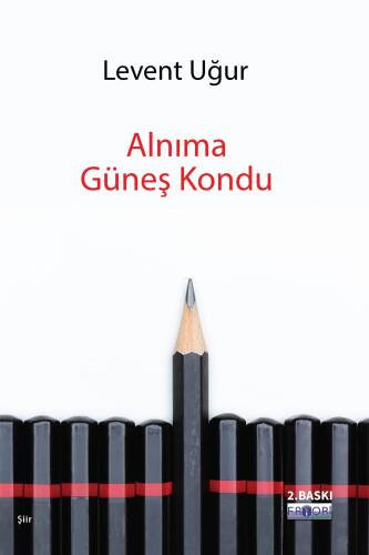 Alnıma Güneş Kondu - 1