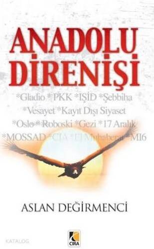 Anadolu Direnişi - 1