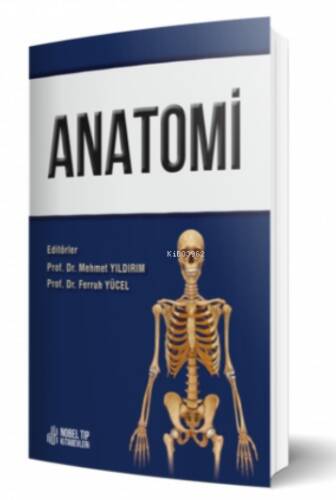 Anatomi - 1