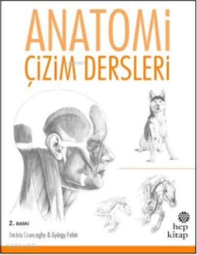 Anatomi Çizim Dersleri - 1