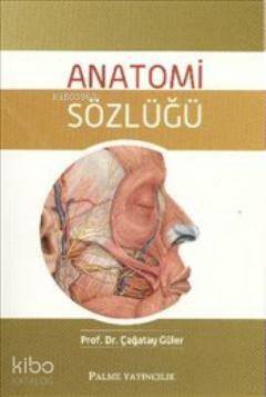 Anatomi Sözlüğü - 1