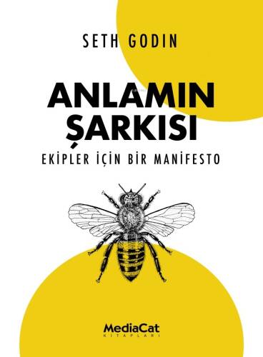 Anlamın Şarkısı ;Ekipler İçin Bir Manifesto - 1