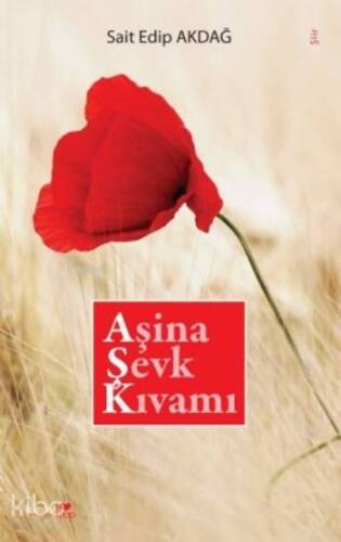 Aşina Şevk Kıvamı - 1