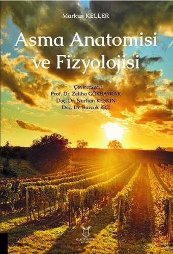 Asma Anatomisi ve Fizyolojisi - 1