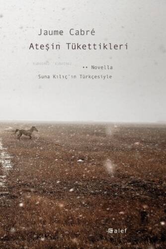 Ateşin Tükettikleri - 1