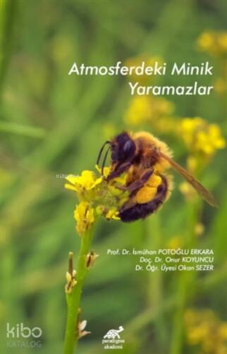 Atmosferdeki Minik Yaramazlar - 1