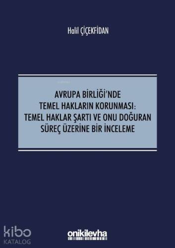 Avrupa Birliği'nde Temel Hakların Korunması:Temel Haklar Şartı ve Onu Doğuran Süreç Üzerine; Bir İnceleme - 1