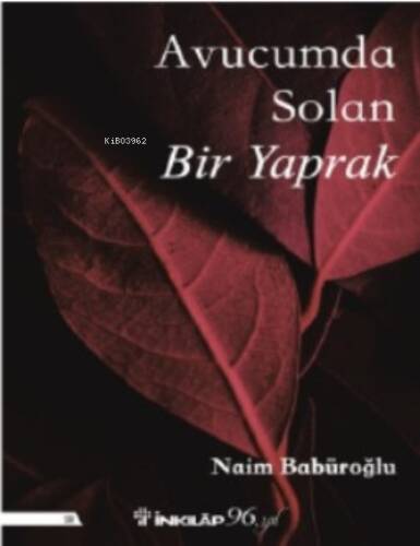 Avucumda Solan Bir Yaprak - 1