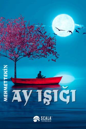 Ay Işığı - 1