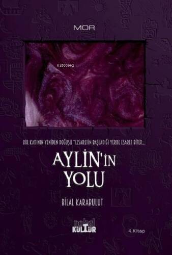 Aylin’İn Yolu - Bir Kadının Yeniden Doğuşu (Roman) - 1