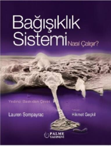 Bağışıklık Sistemi Nasıl Çalışır - 1