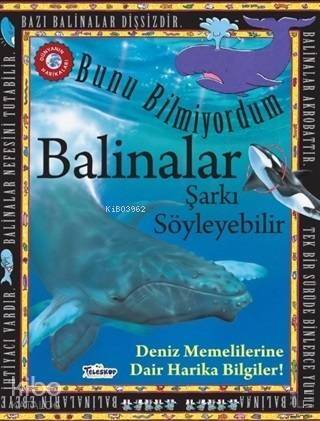 Balinalar Şarkı Söyleyebilir - Bunu Bilmiyordum Deniz Memelilerine Dair Harika Bilgiler! - 1