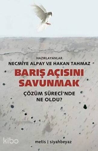 Barış Açısını Savunmak; Çözüm Sürecinde Ne Oldu ? - 1