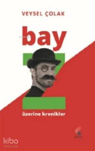 Bay Z Üzerine Kronikler - 1