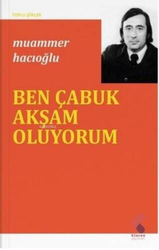 Ben Çabuk Akşam Oluyorum - Toplu Şiirler - 1