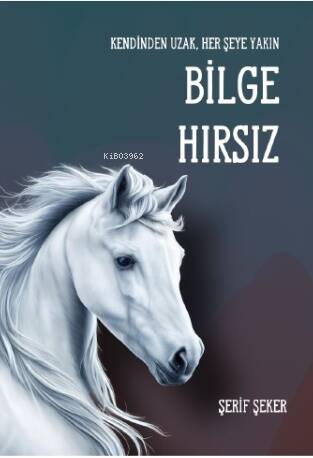 Bilge Hırsız - 1