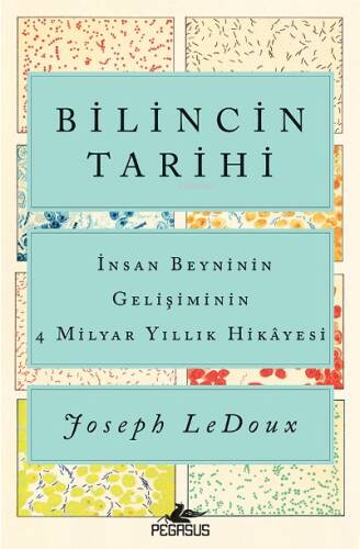 Bilincin Tarihi; İnsan Beyninin Gelişiminin 4 Milyar Yıllık Hikayesi - 1