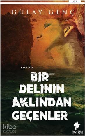 Bir Delinin Aklından Geçenler - 1