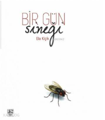 Bir Gün Sineği - 1