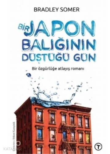 Bir Japon Balığının Düştüğü Gün - 1