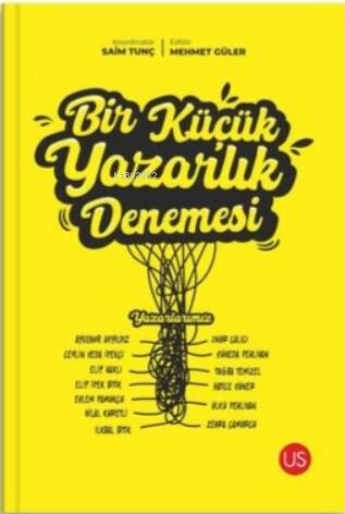 Bir Küçük Yazarlık Denemesi - 1