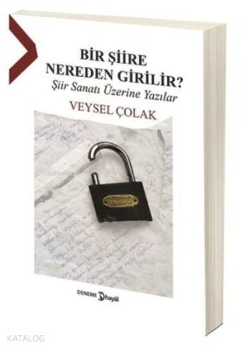 Bir Şiire Nereden Girilir? Şiir Sanatı Üzerine Yazılar - 1