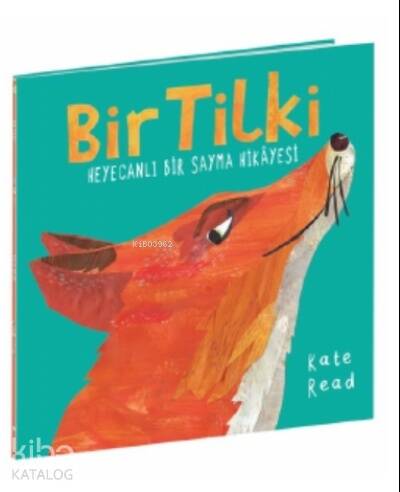 Bir Tilki - 1