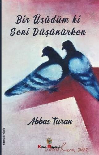 Bir Üşüdüm ki Seni Düşünürken - 1