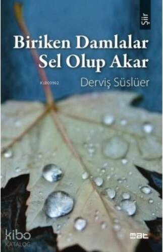 Biriken Damlalar Sel Olup Akar - 1