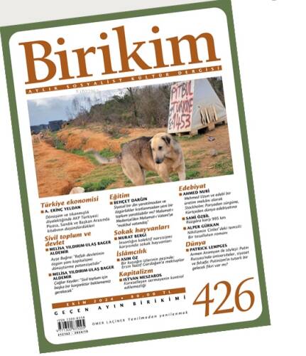 Birikim - 1