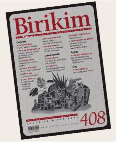 Birikim-408 - 1