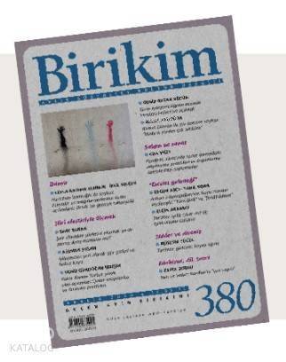 Birikim Sayı 380 - Aralık - 1