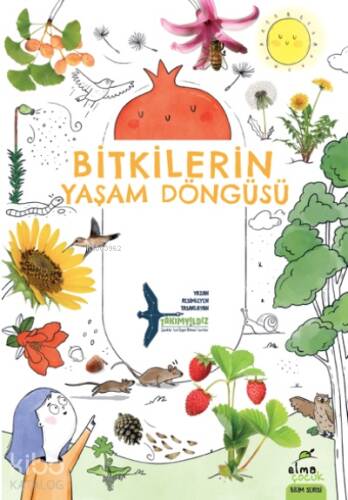 Bitkilerin Yaşam Döngüsü - 1