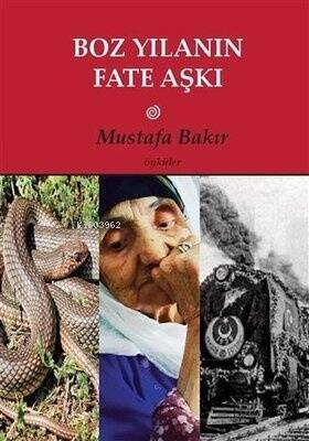 Boz Yılanın Fate Aşkı - 1