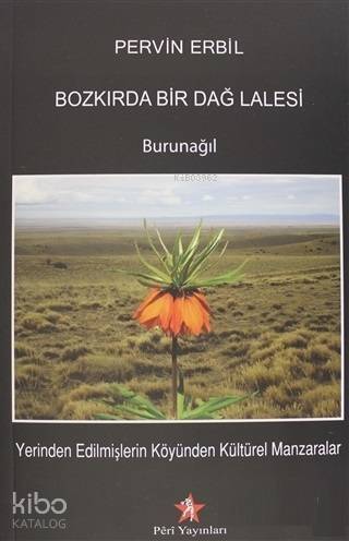 Bozkırda Bir Dağ Lalesi Burunağıl - 1