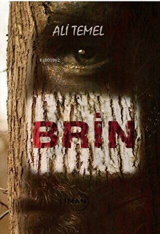 Brin - 1