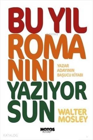 Bu Yıl Romanını Yazıyorsun; Yazar Adayının Başucu Kitabı - 1