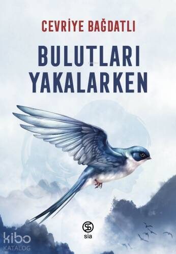 Bulutları Yakalarken - 1