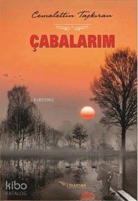 Çabalarım - 1