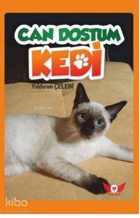 Can Dostum Kedi - 1