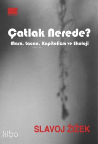 Çatlak Nerede?;Marx, Lacan, Kapitalizm ve Ekoloji - 1