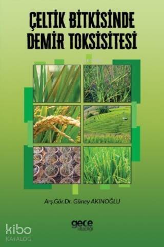 Çeltik Bitkisinde Demir Toksisitesi - 1