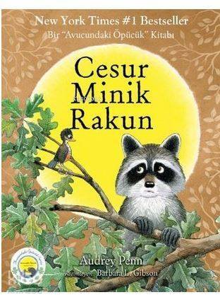 Cesur Minik Rakun - 1