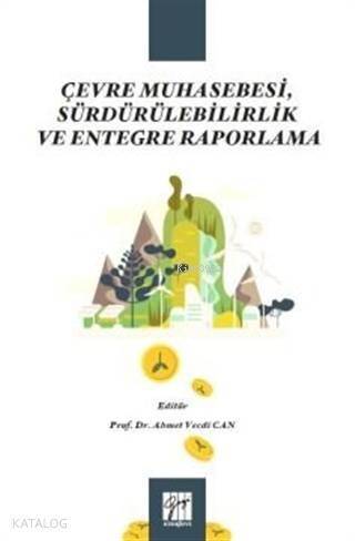 Çevre Muhasebesi, Sürdürülebilirlik ve Entegre Raporlama - 1