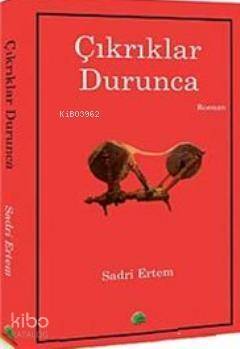 Çıkrıklar Durunca - 1