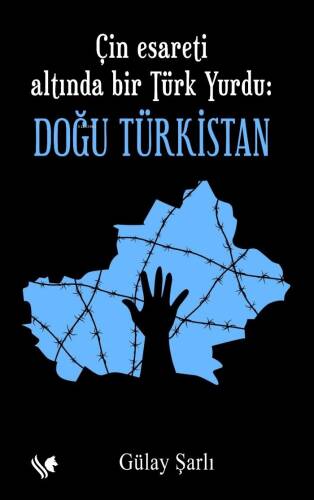 Çin Esareti Altında bir Türk Yurdu: Doğu Türkistan - 1