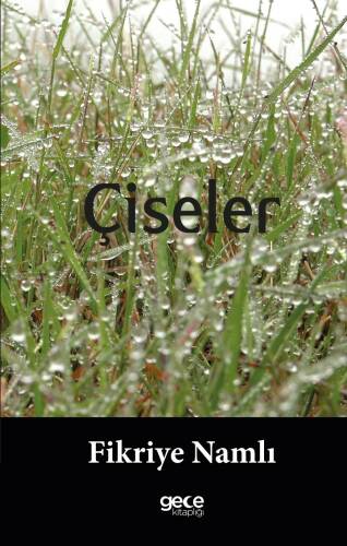 Çiseler - 1