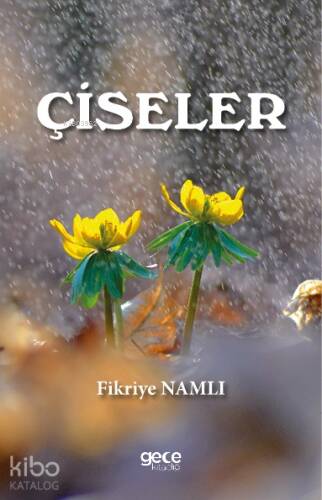 Çiseler - 1